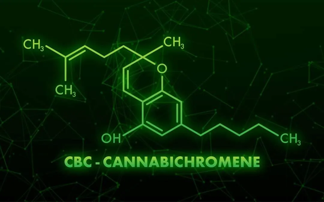 UM BREVE RESUMO DOS CANABINOIDES ENCONTRATOS NA FLOR DA CANNABIS